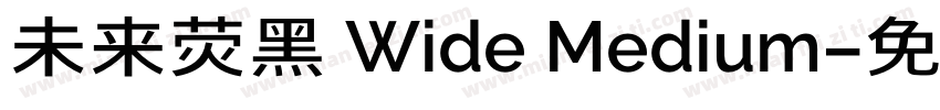 未来荧黑 Wide Medium字体转换